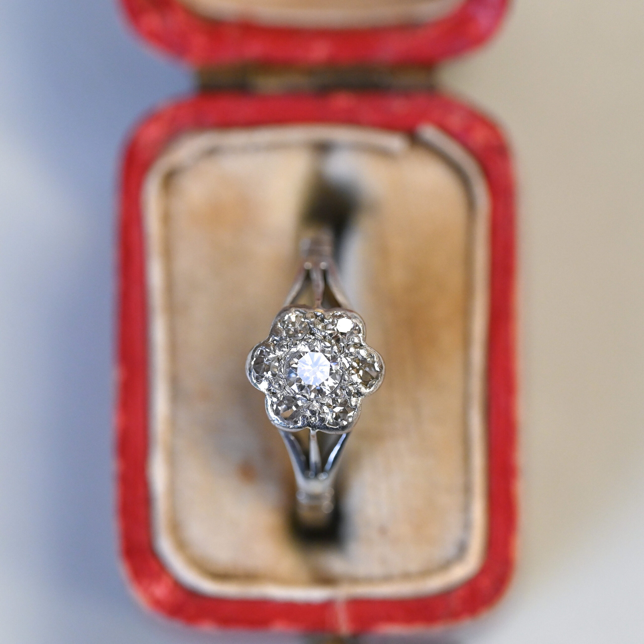 Edwardian 18ct gold and platinum diamond daisy cluster ring - Image 2